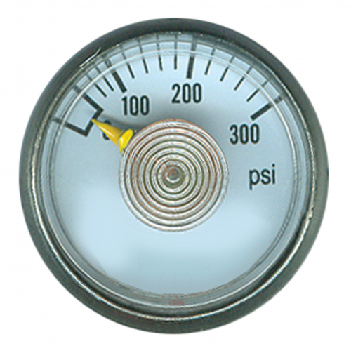 Fairview 0-300;Dry Gauge;1.25in Face;1/4MPT CBM Item #: FVF-PG-300CD125 | GarageAndFab.com